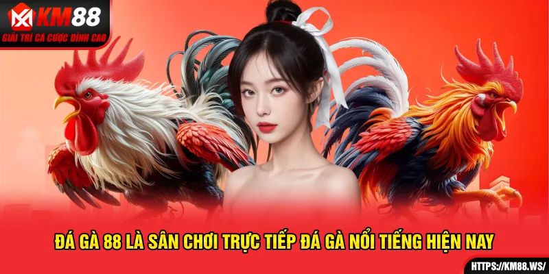 Đá gà 88 là sân chơi trực tiếp đá gà nổi tiếng hiện nay